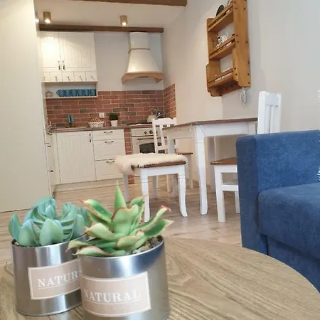 Swierkowa Izba Centrum Appartement